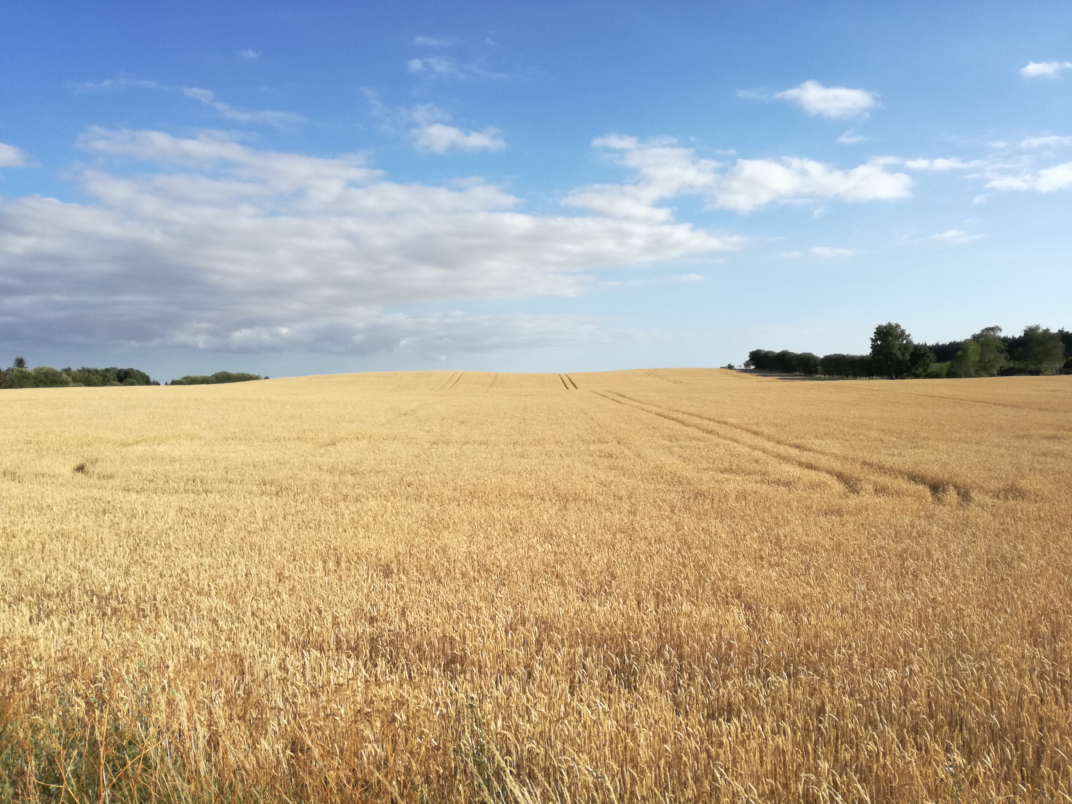 Viel Landschaft und Fähren fahren doch!