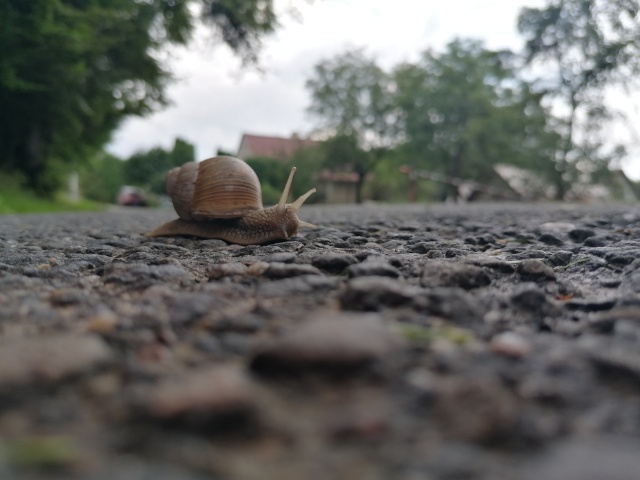 Harter Beginn, dann Regen und am Ende sprachlos.
